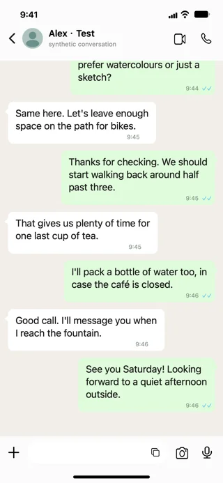WhatsApp 合成测试图 3